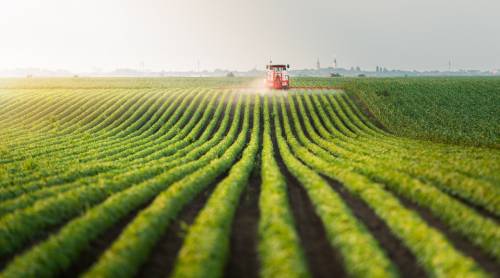 Tractor in field